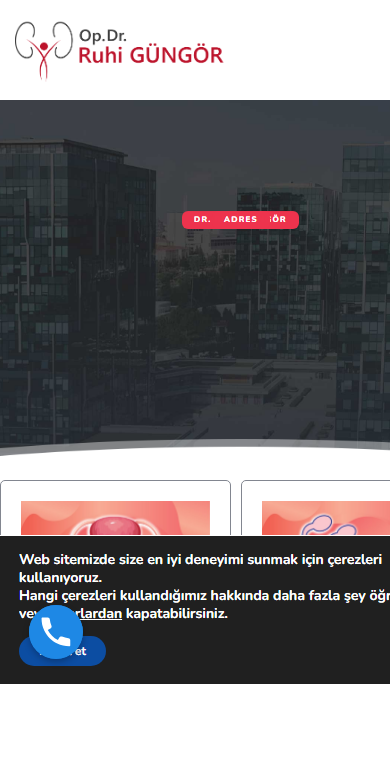 Ruhi Güngör mobil görünüm
